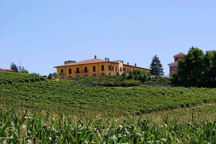 Piemonte – Wijnboerderij op historisch landgoed met zwembad