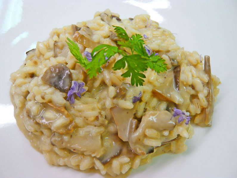 hotel gardameer wellness