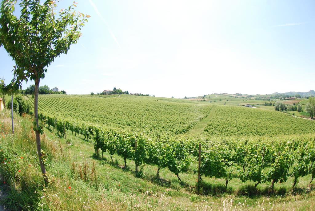 agriturismo piemonte